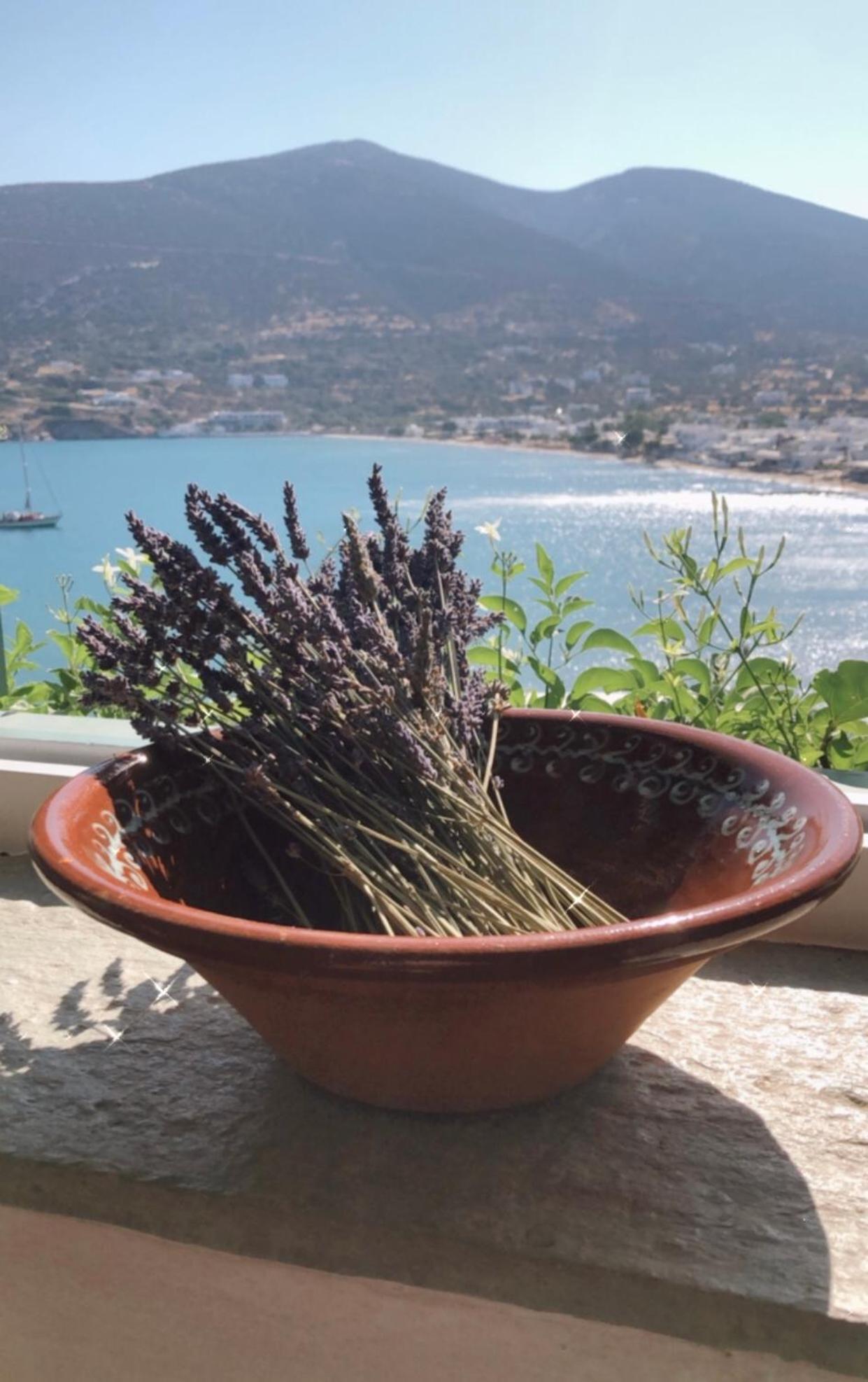 Hotel de apartamente Niriedes Platis Gialos (Sifnos)
